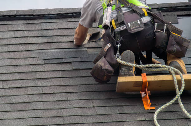 Roof Gutter Cleaning in Grand Blanc, MI